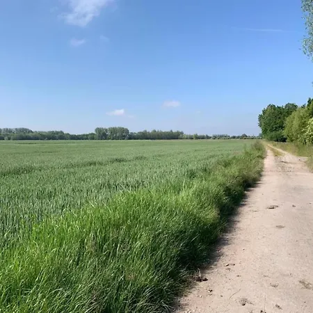 Bright Attic With Sea Breeze アパート *